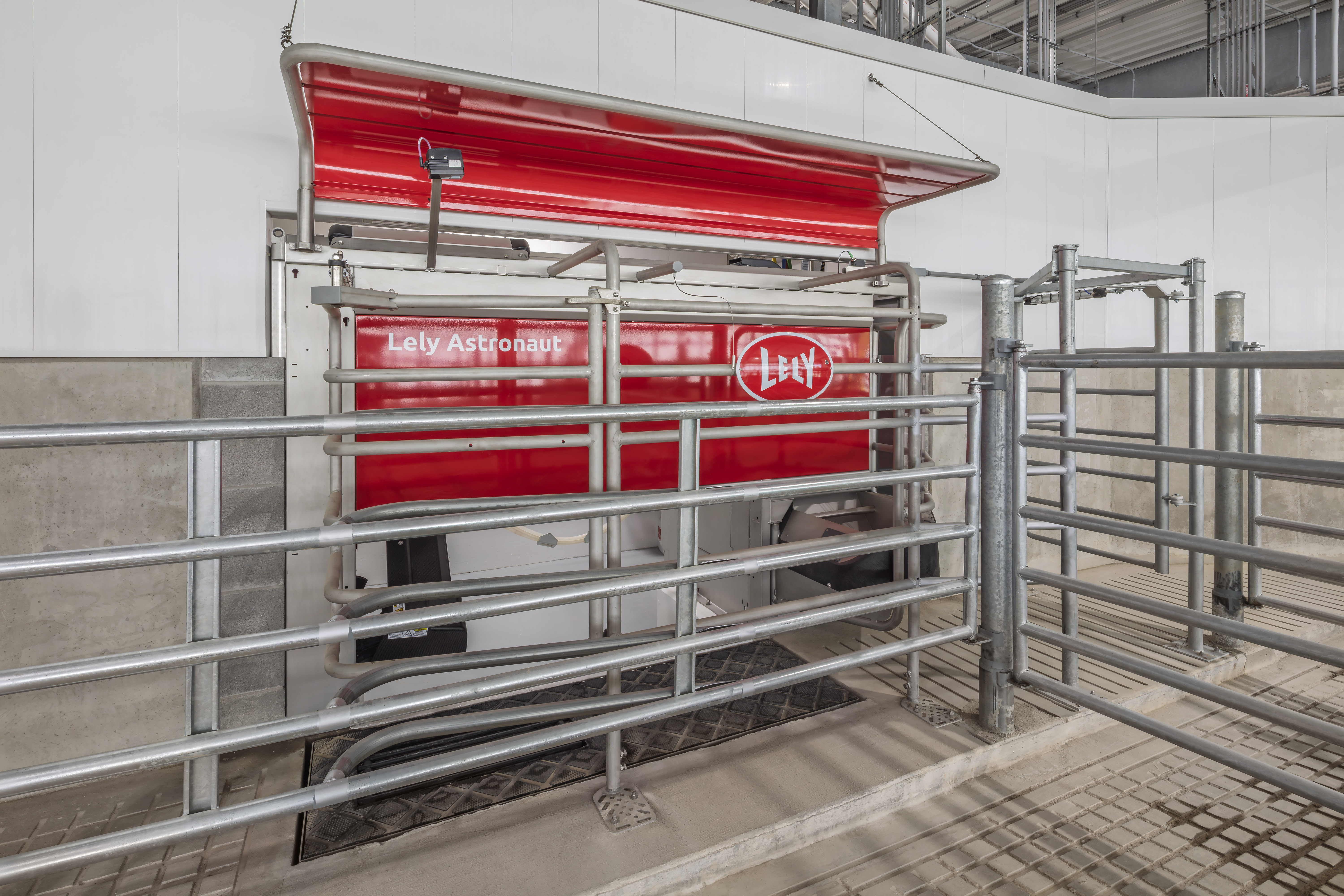 A robotic milker in a dairy facility.